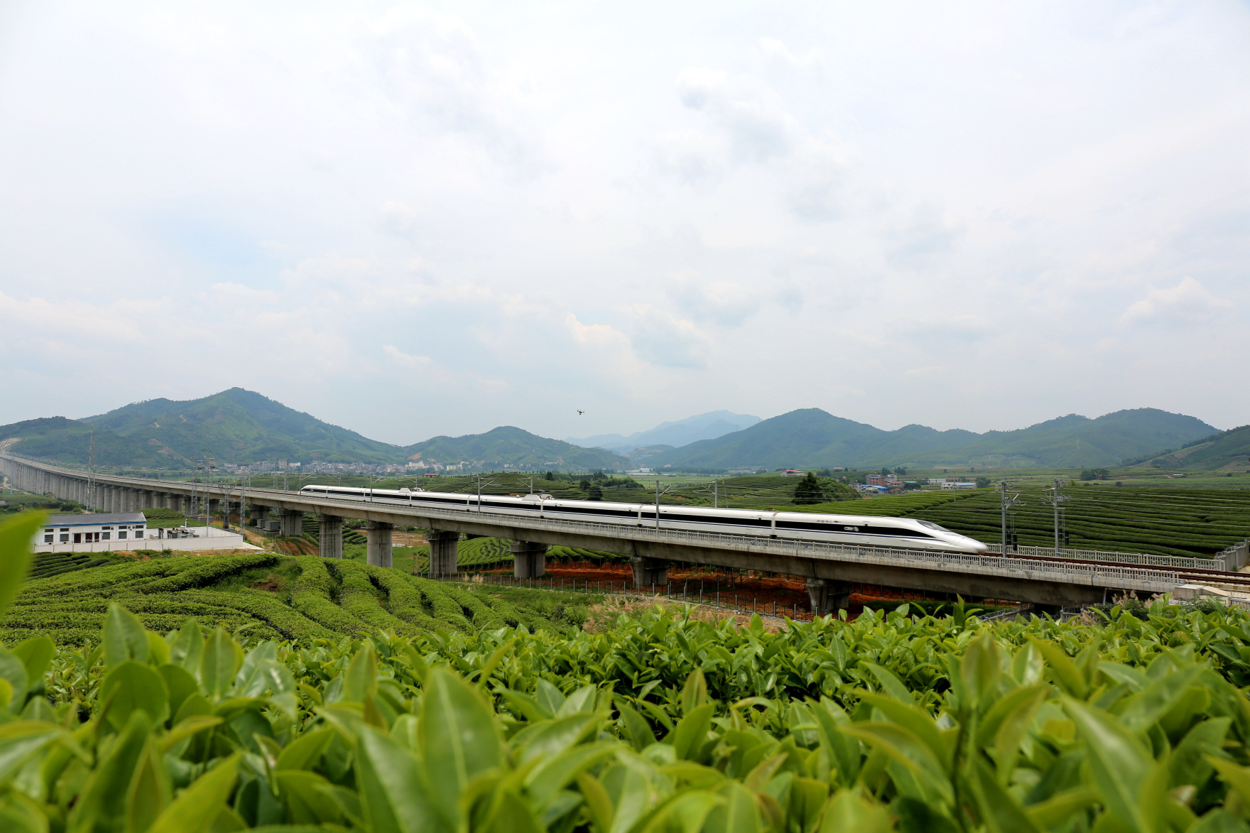 ������ʱ��(�й���)�������ǲ�!